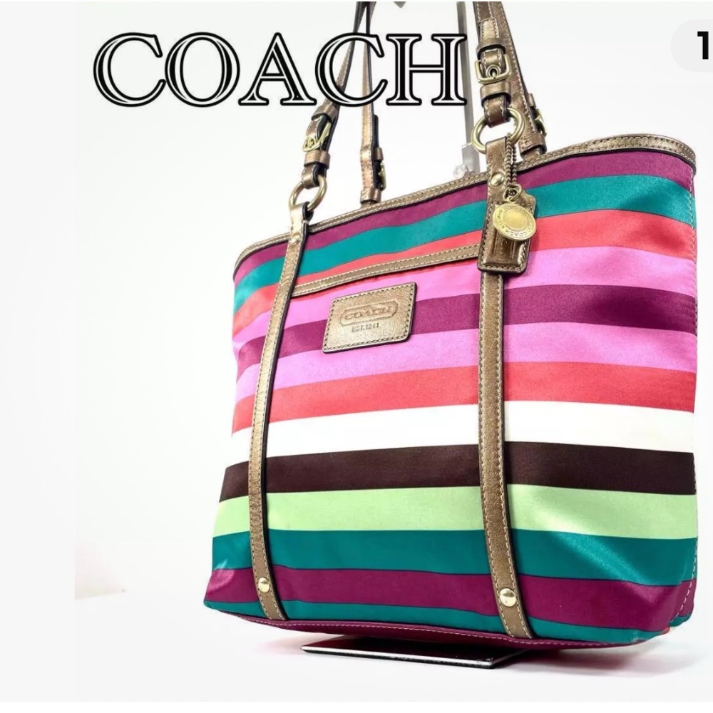 Coach Multicolor Striped Tote Bag
